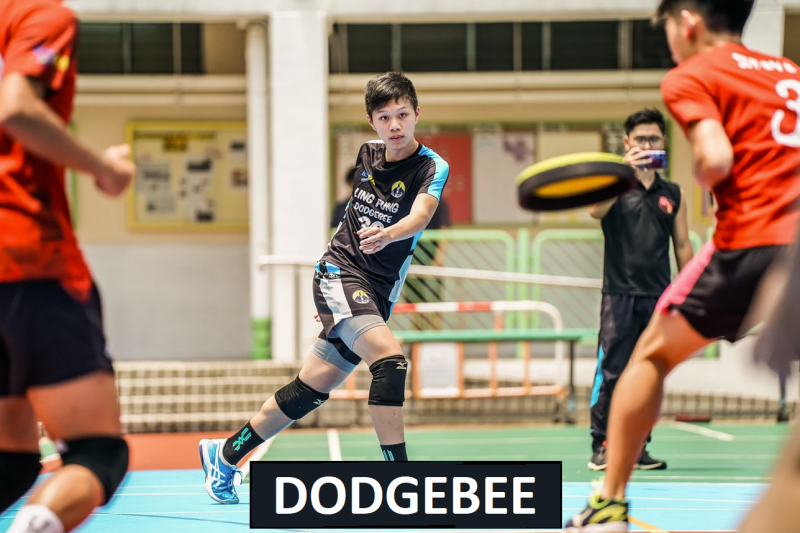 Dodgebee